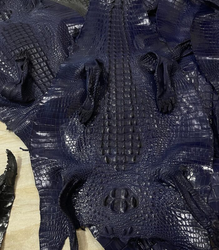 navy blue hornback crocodile leather skin